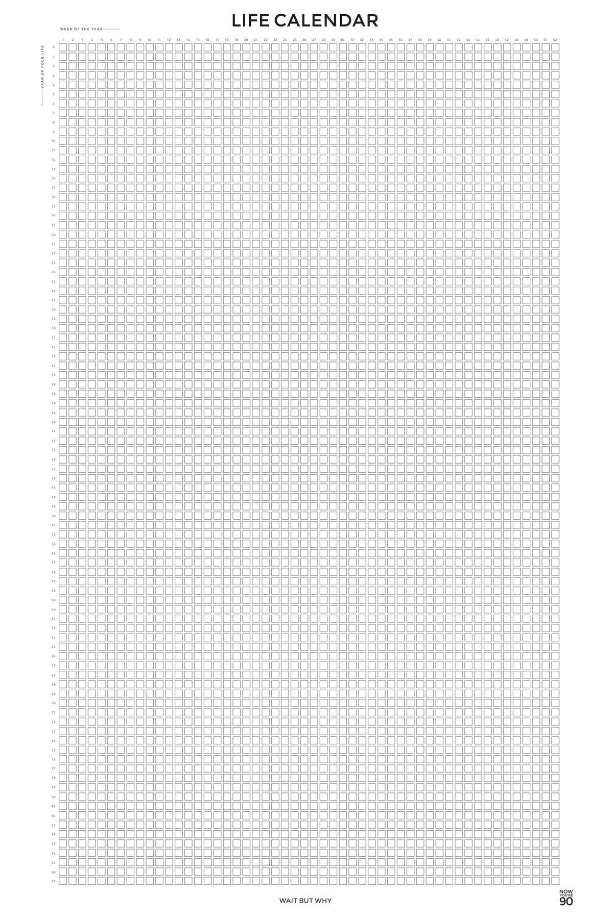 Life Calendar (24in x 36in)