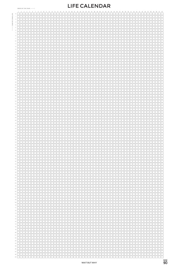 10 Pack of Large Sheet Format 1 Graph Paper 36 x 24 Black