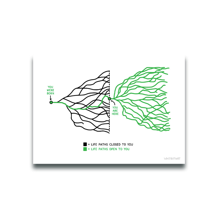 Tree of Life Postcard