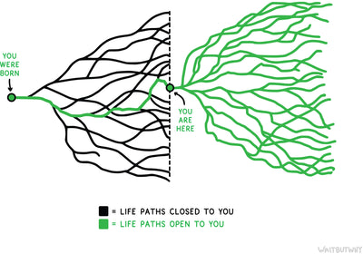 Tree of Life Postcard