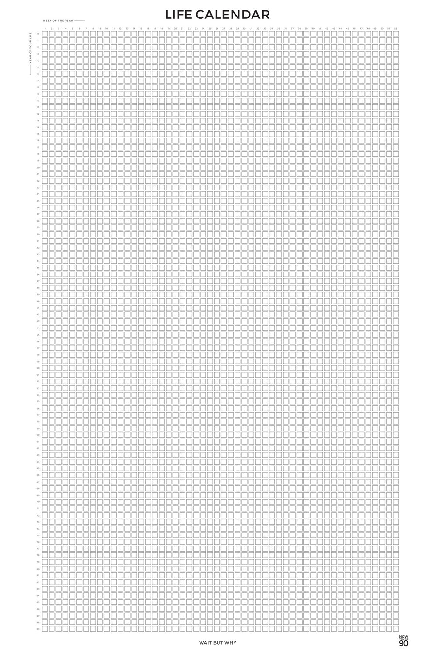 Life Calendar (24in x 36in)