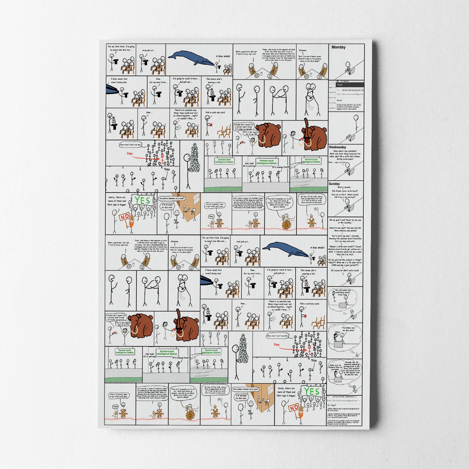 Wrapping Paper Packs - Assorted WBW Designs (18" x 24" Sheets)